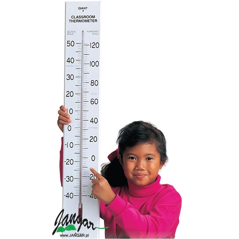 Demonstration class thermometer (75 cm)