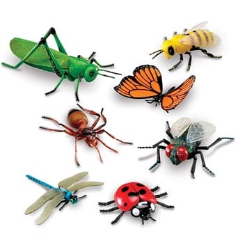 Zestaw 7 wielkich modeli owadów