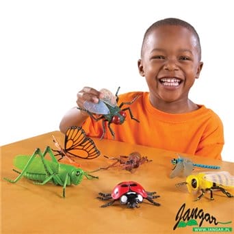 A set of 7 large insect models
