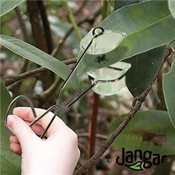 Insect picking pliers
