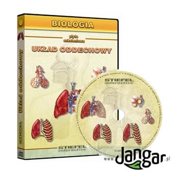 Respiratory system - multimedia program