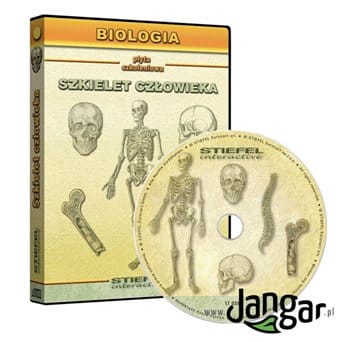 Human skeleton - multimedia program
