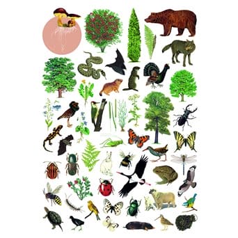 Stickers of forest and wildlife, 137 organisms