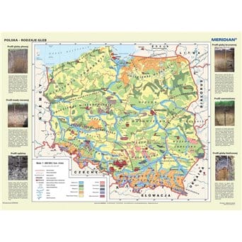 Mapa ścienna, 160x120 cm: Polska. Gleby - rodzaje