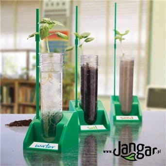 Hydroponic station to observe root growth