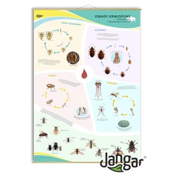 Wall board: BLOOD-SUCKING AND DISEASE-CARRYING INSECTS - jangar.pl