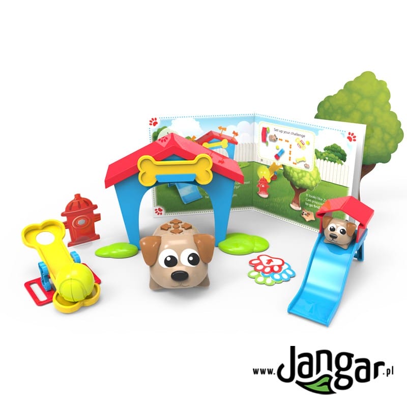Code and play, dogs in the backyard - jangar.pl