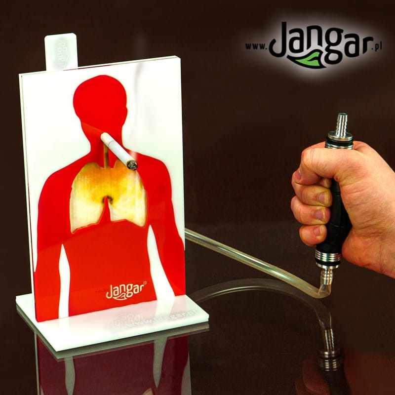 Negative effects of smoking cigarettes - demonstration model - jangar.pl