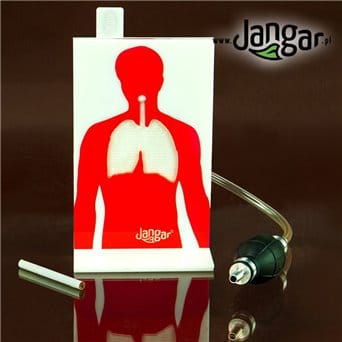 Negative effects of smoking cigarettes - demonstration model - jangar.pl