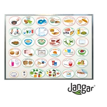 Dietary recommendations magnetic version - jangar.pl