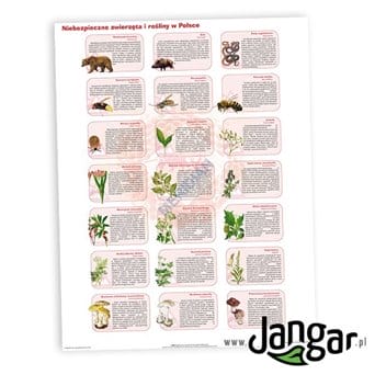 Wall Sheet: Dangerous animals and plants in Poland - jangar.pl