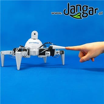 Six Hexapod Robot (3) - jangar.pl