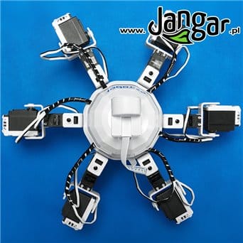 Robot SIX Edupająk - jangar.pl