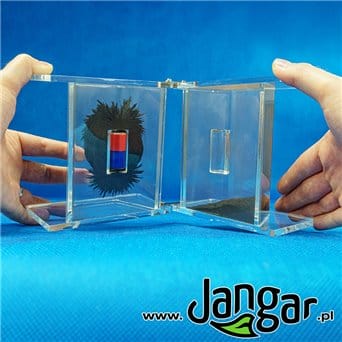 Magnetic field demonstrator with a magnet