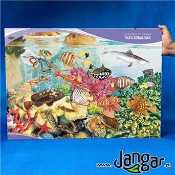 Anti-frame board: World Landscapes - Coral Reef 70x50 cm