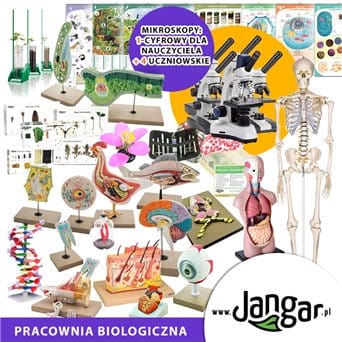 Biological lab - basic equipment set