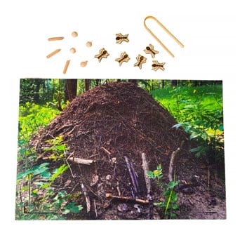 Where do ants live? – wooden model of the construction of an anthill