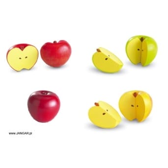Magnetyczne jabłka-ułamki, 4 sztuki