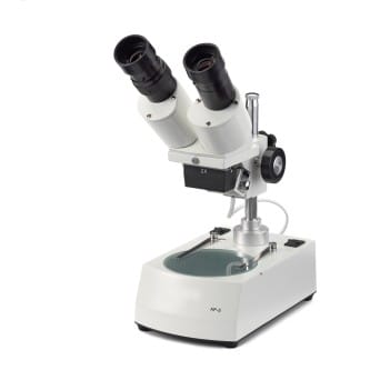 20x stereoscopic microscope, backlit (2 types of light)