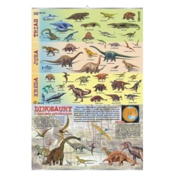 Wall board: Dinosaurs and other prehistoric reptiles