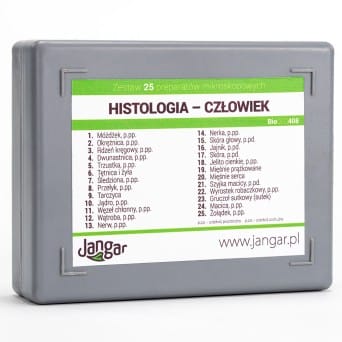 Histology (man) - a set of 25 microscopic preparations