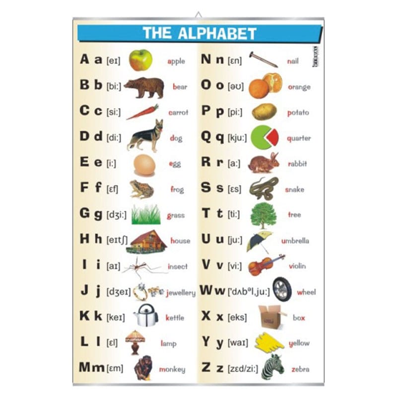 Plansza ścienna: The Alphabet (j.angielski)