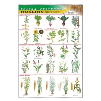 Wall board: Arable plants