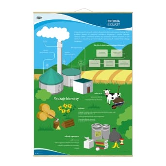 Plansza ścienna: OZE - Energia biomasy, rodzaje, budowa elektrowni 90x130 cm