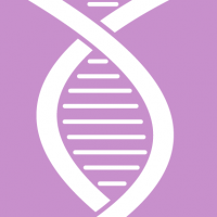 Budowa komórki człowieka • Genetyka • Materiały dydaktyczne • Jangar